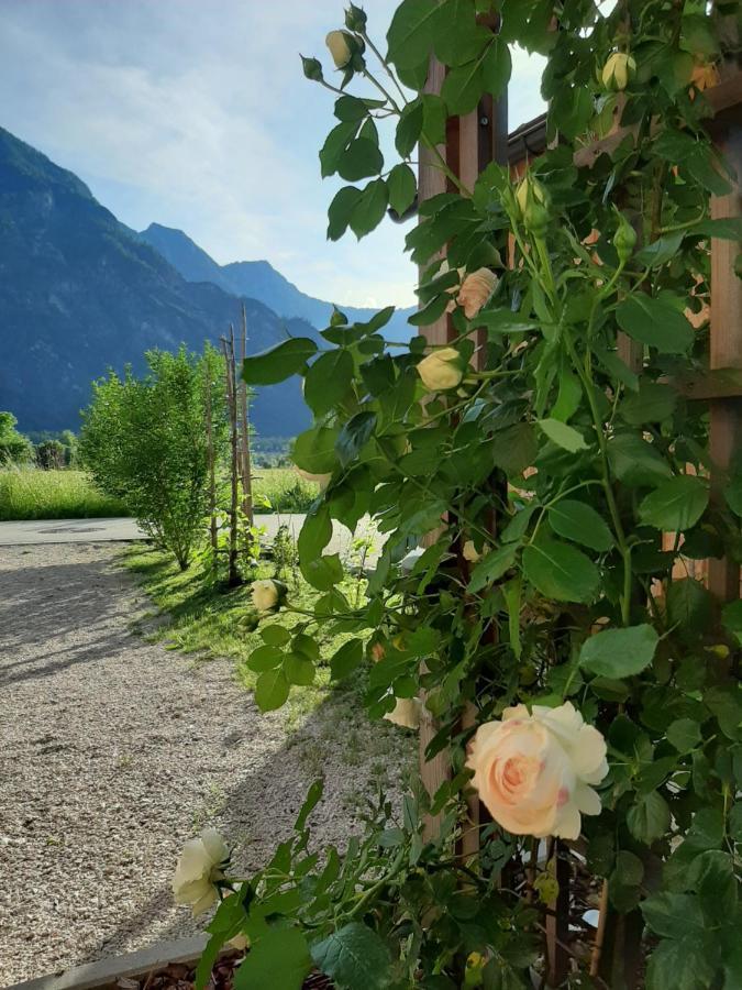 Apartment Tonis Bad Goisern
